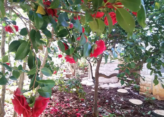 Apartamento Traumurlaub In Einer In Strandnaehe By Interhome Banjole